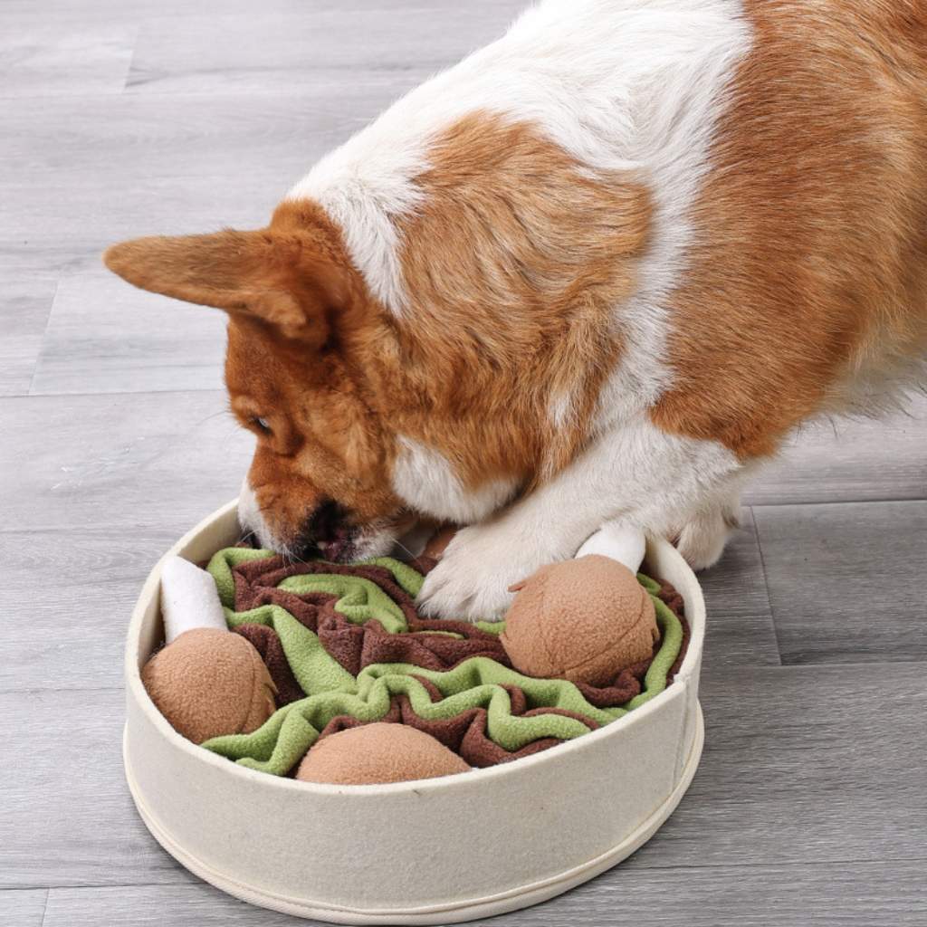 köpek oyuncağı