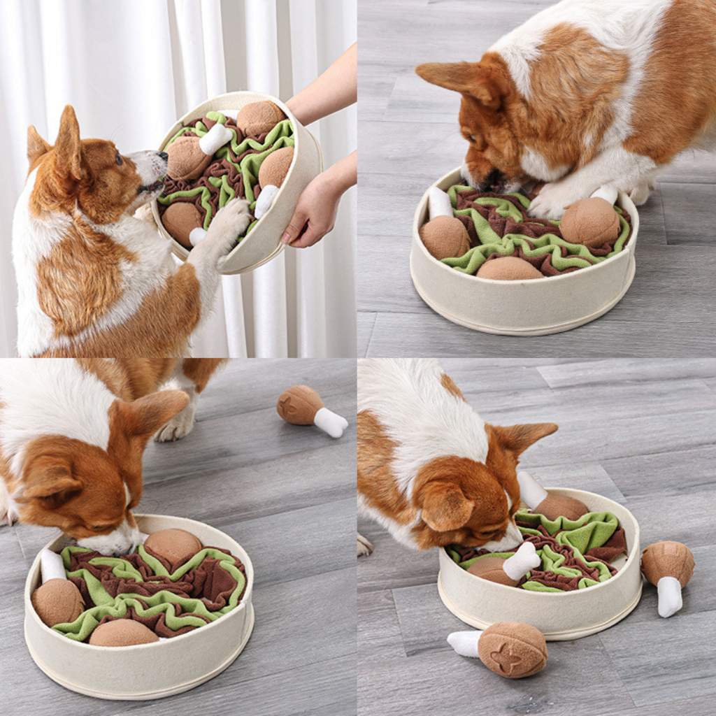 köpekler için ilginç oyuncak