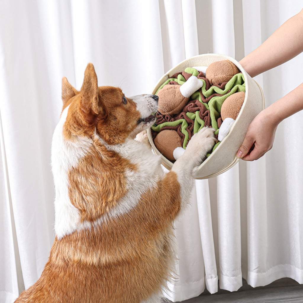 köpek yavaş yeme oyuncağı kutulu