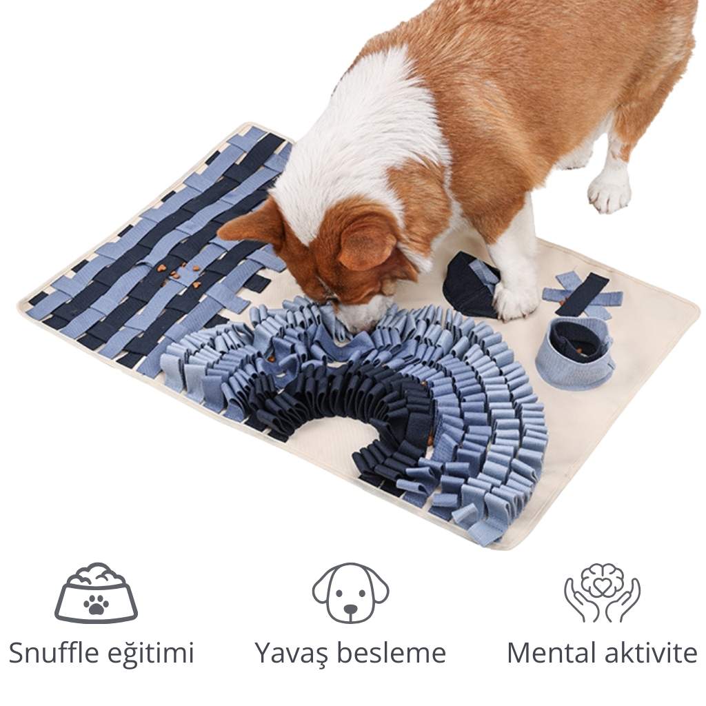 köpek mama yeme süresi