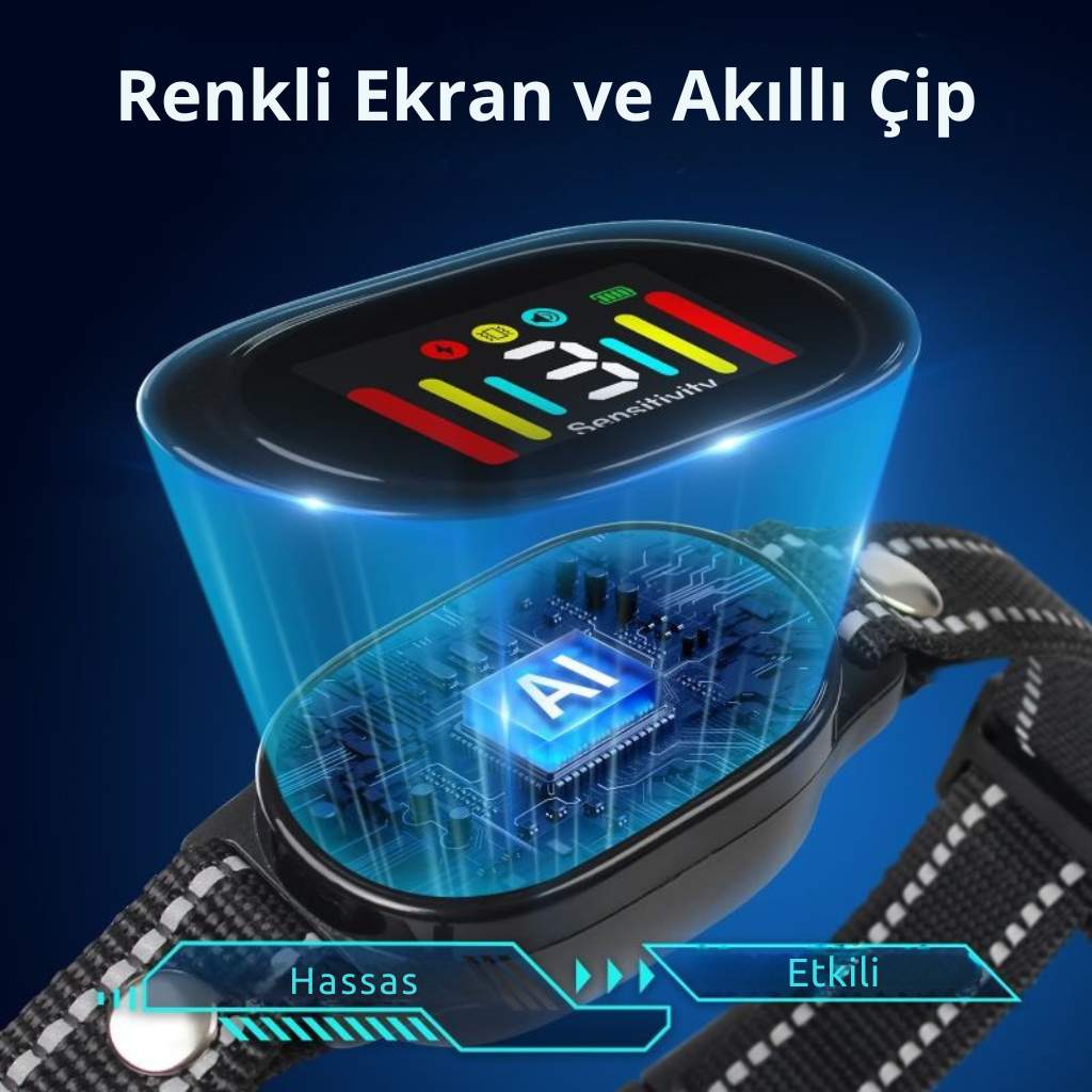 akıllı köpek tasması