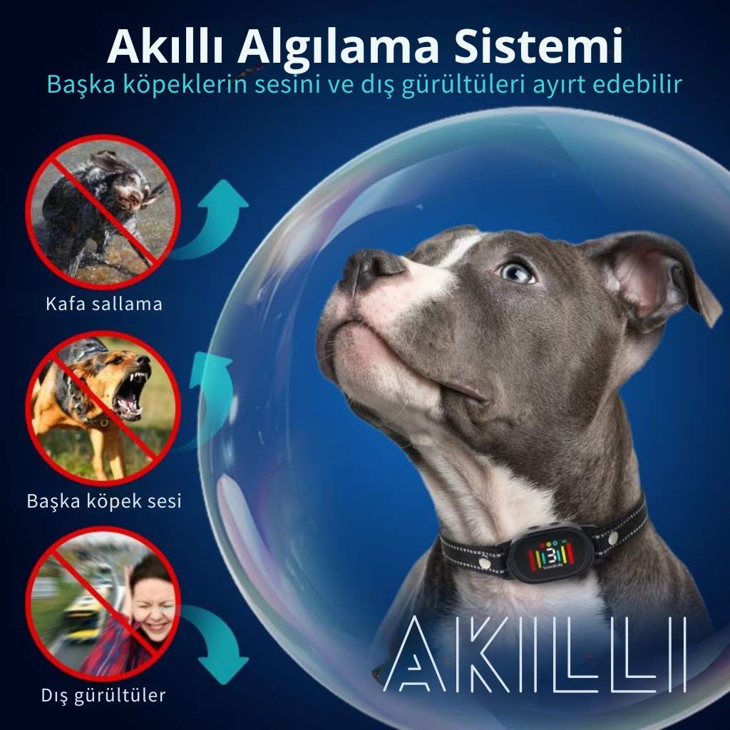 havlama önleyici tasma