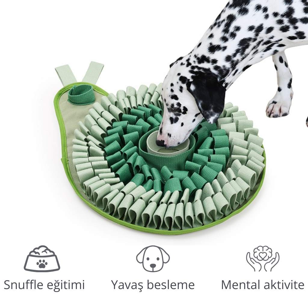 havloo snuffle eğitim matı