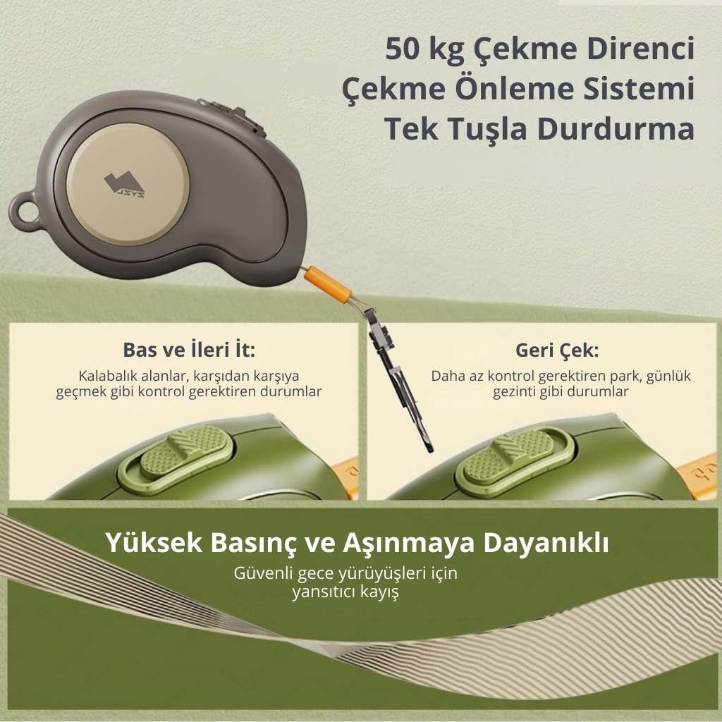 kilitli köpek tasması