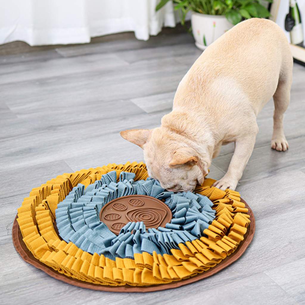 köpek burun eğitimi pedi