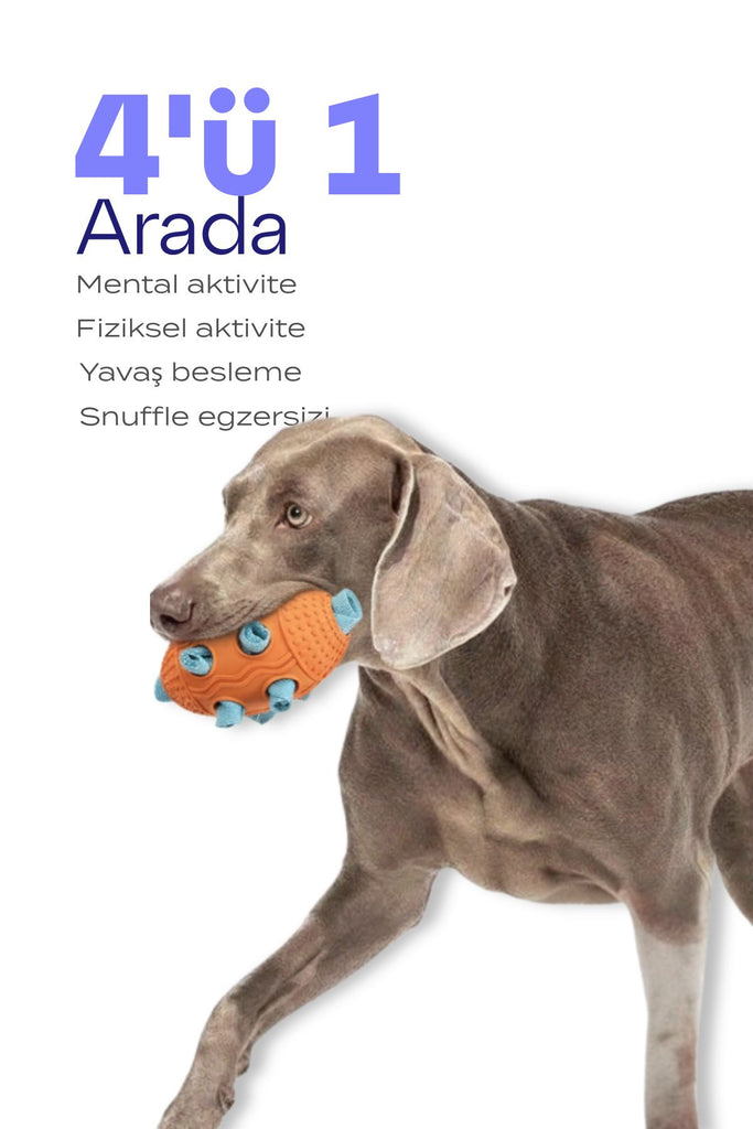 köpek kauçuk top