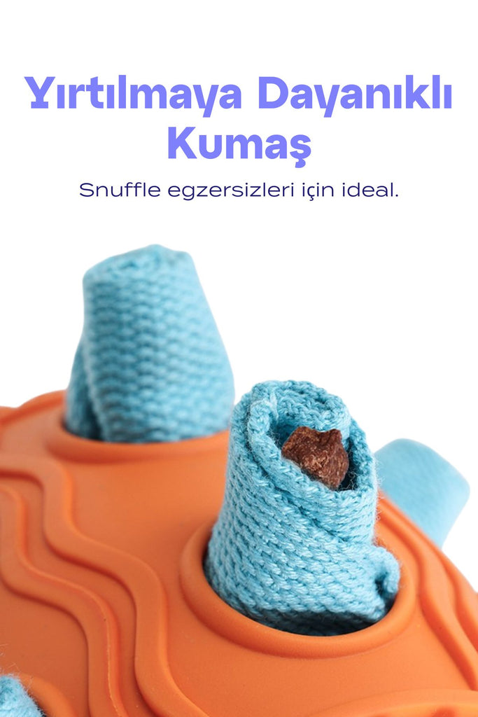 köpek kauçuk oyuncak