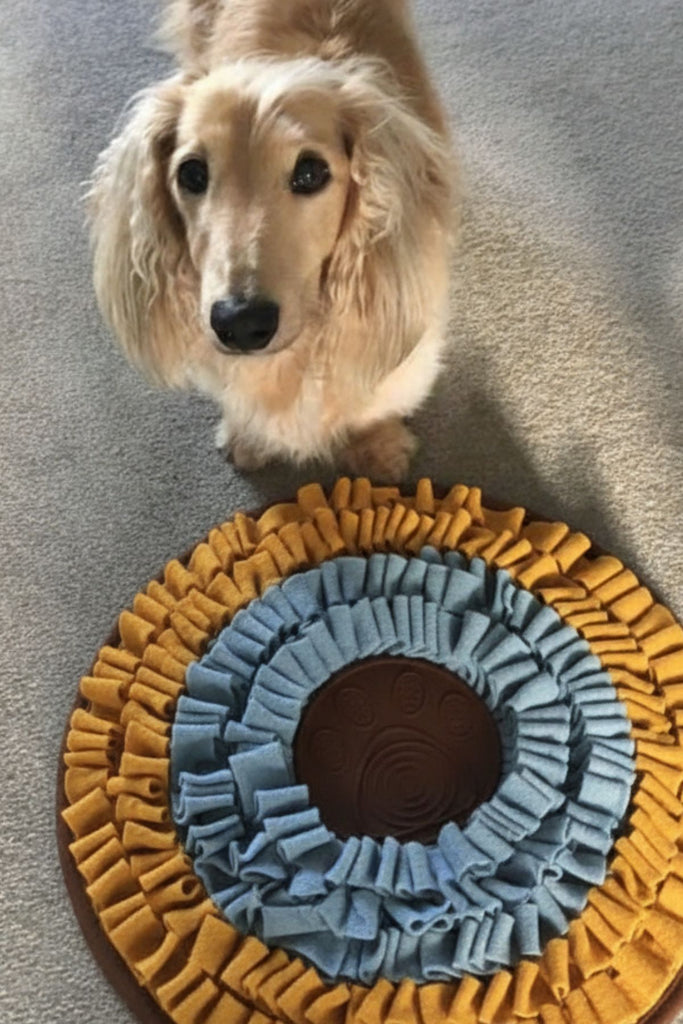 köpek koku eğitim matı