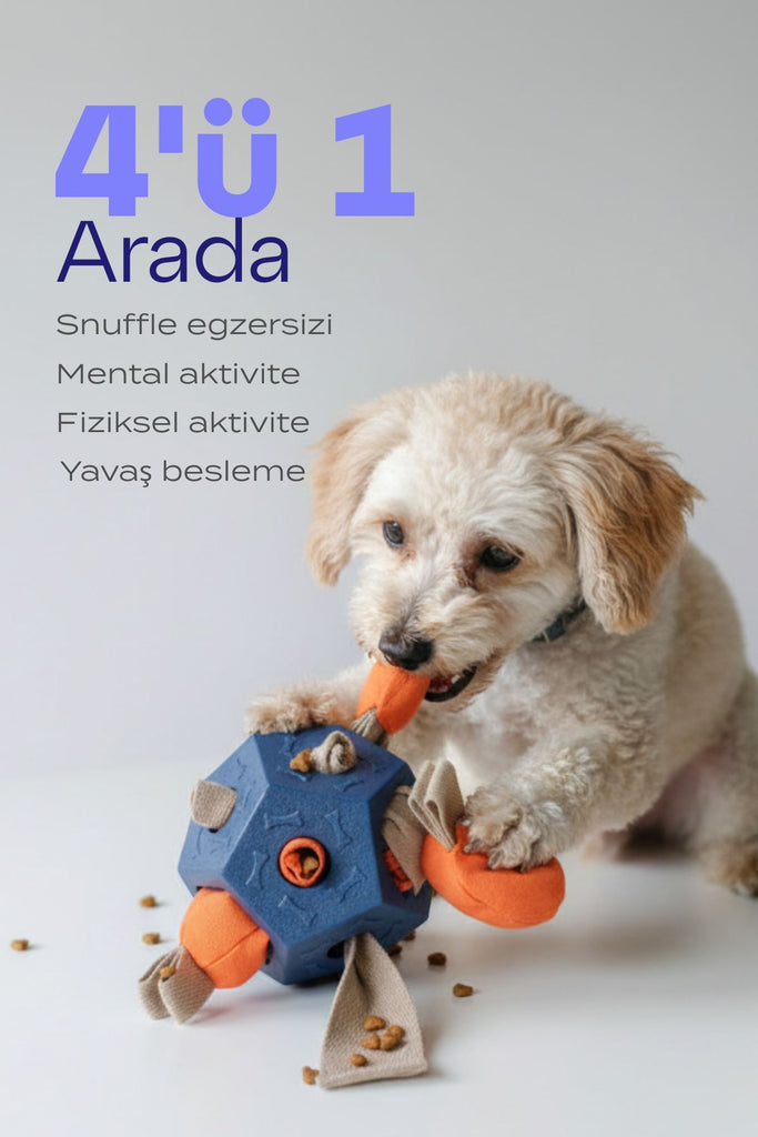 köpek mama topu