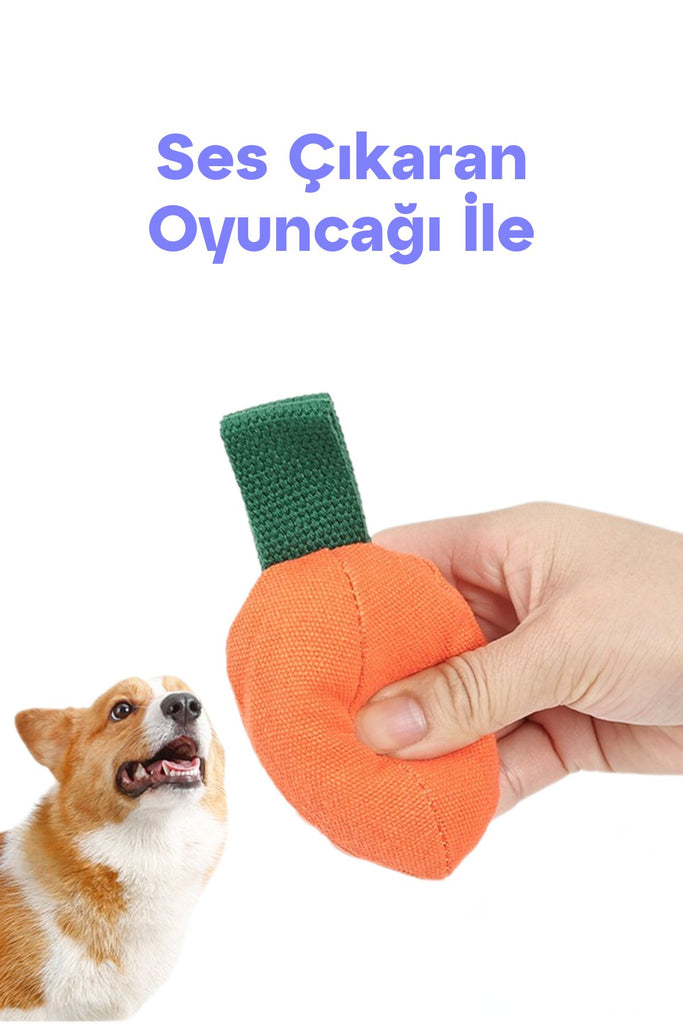 köpek sesli top