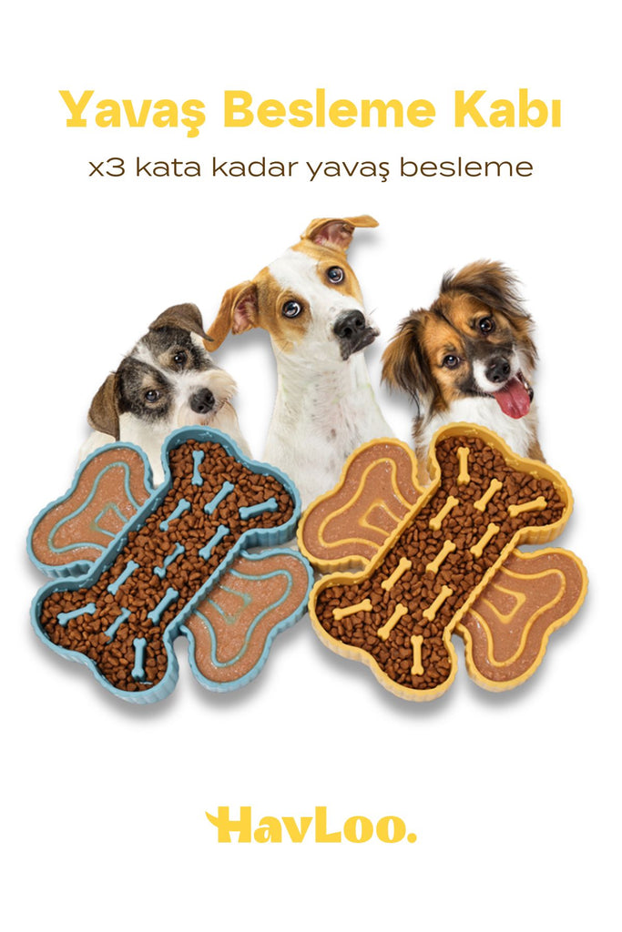 köpek slow feeder