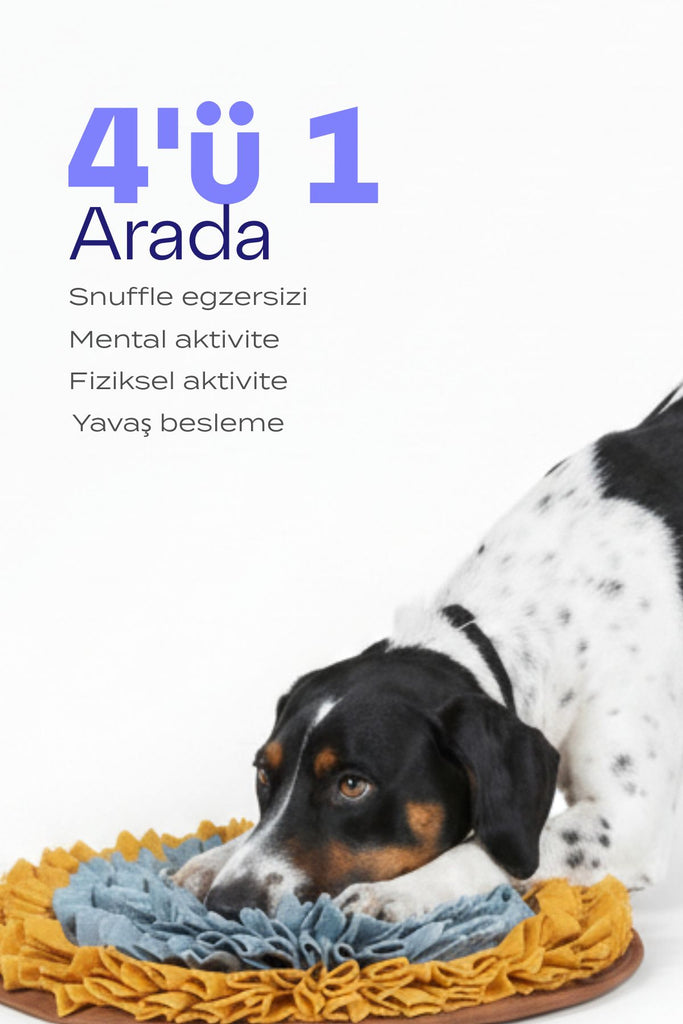 köpek snuffle