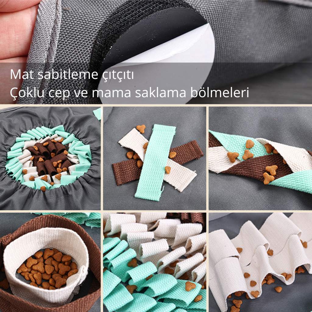 köpek snuffle eğitimi