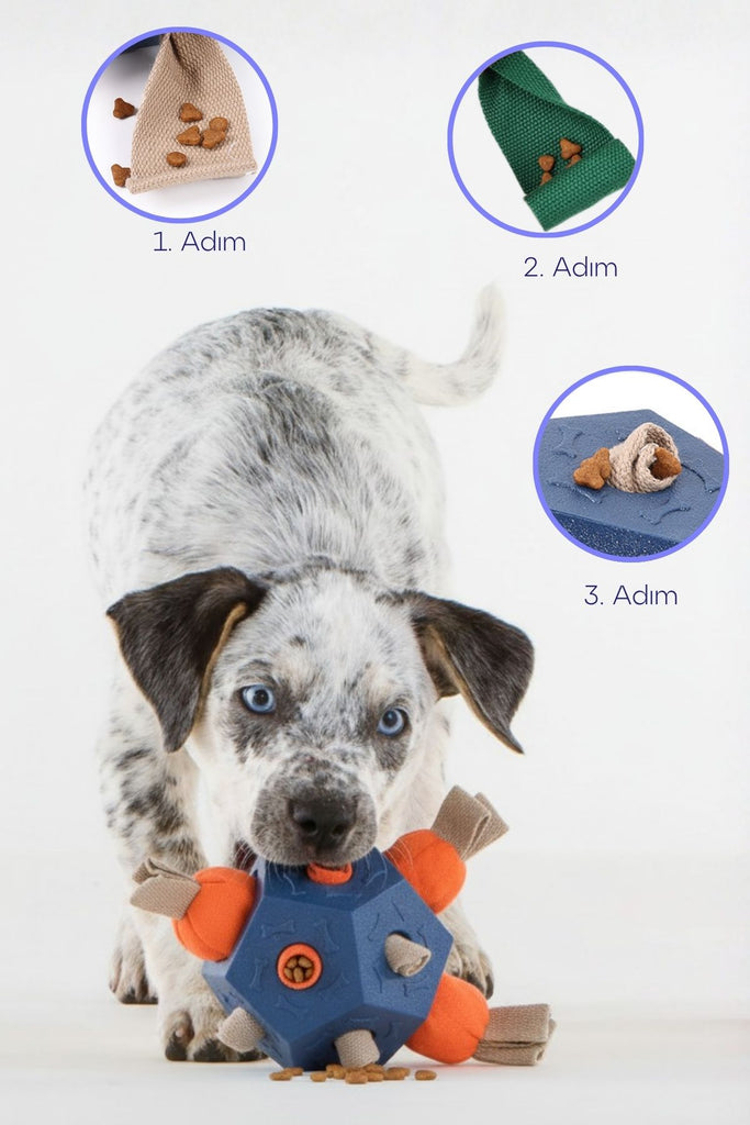 köpek snuffle oyuncak