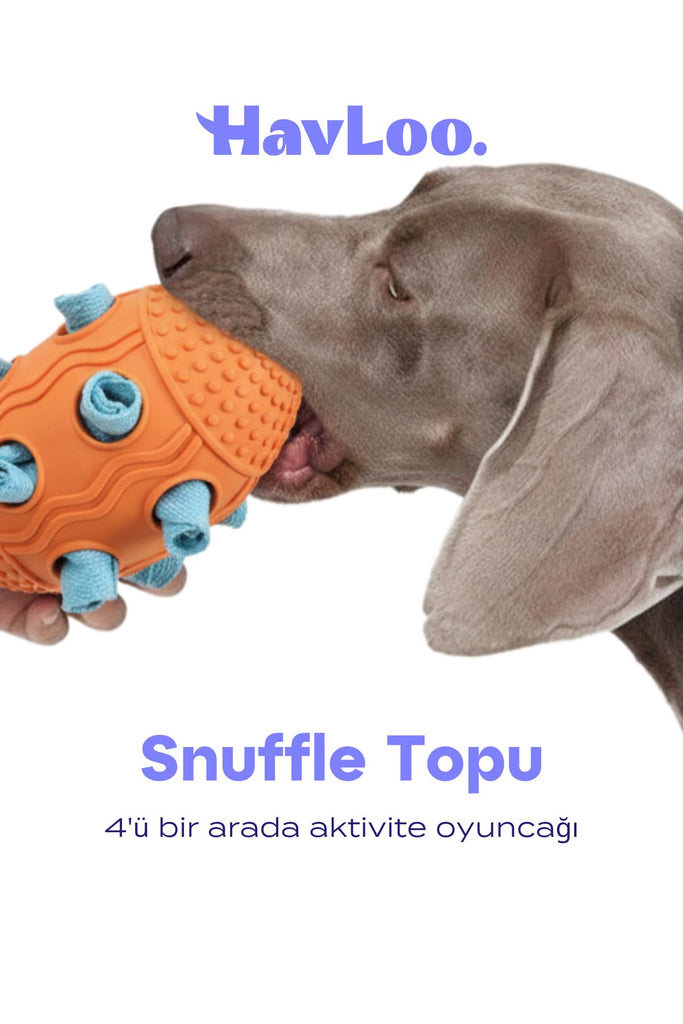 köpek snuffle topu