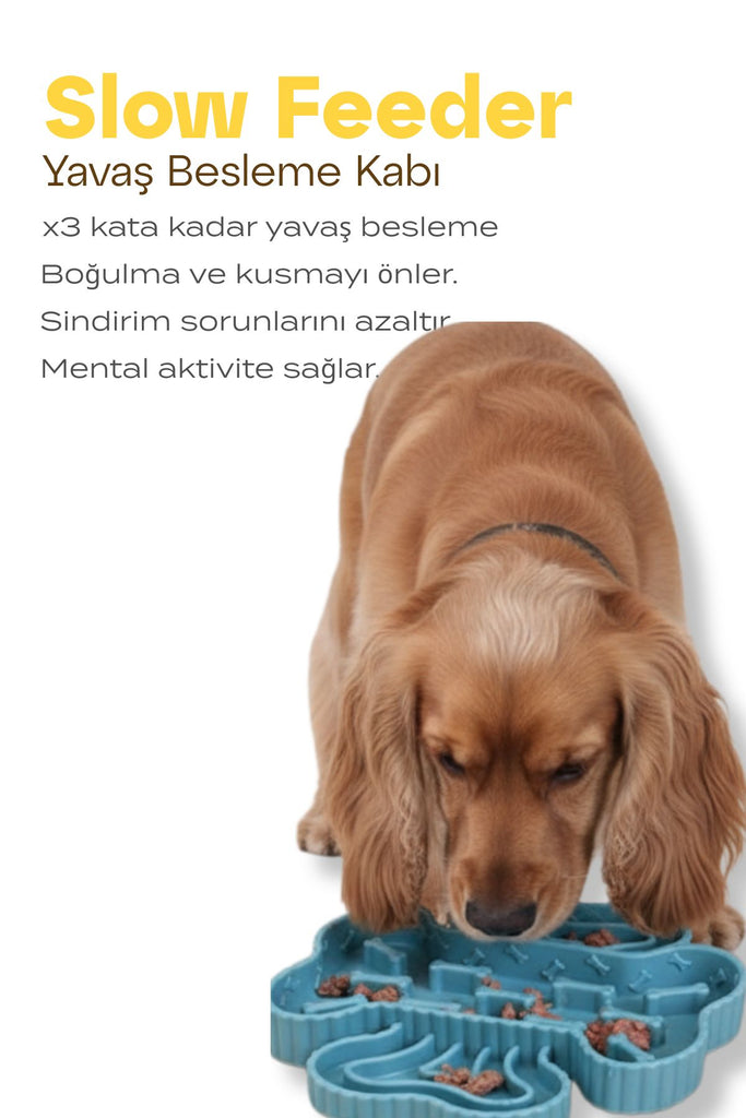 köpek yavaş besleme kabı