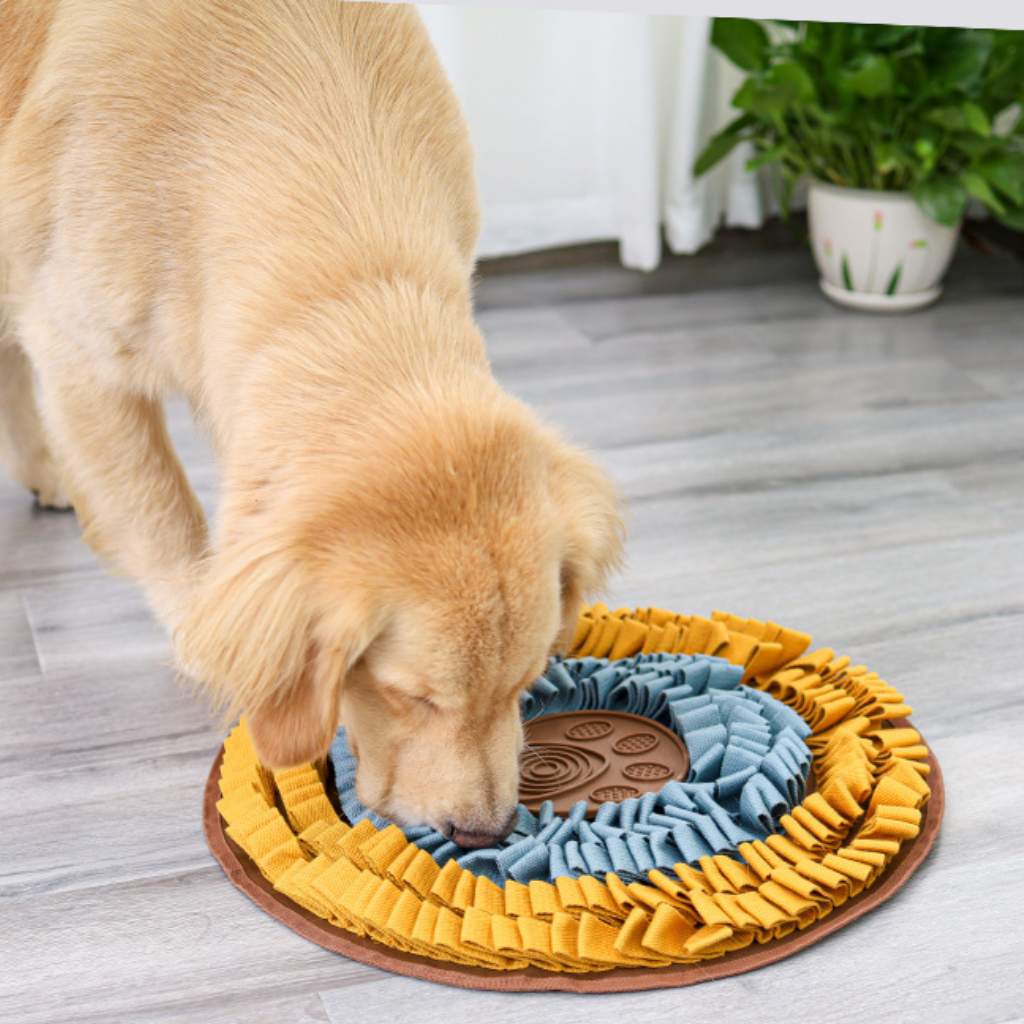 köpek yavaş yeme matı