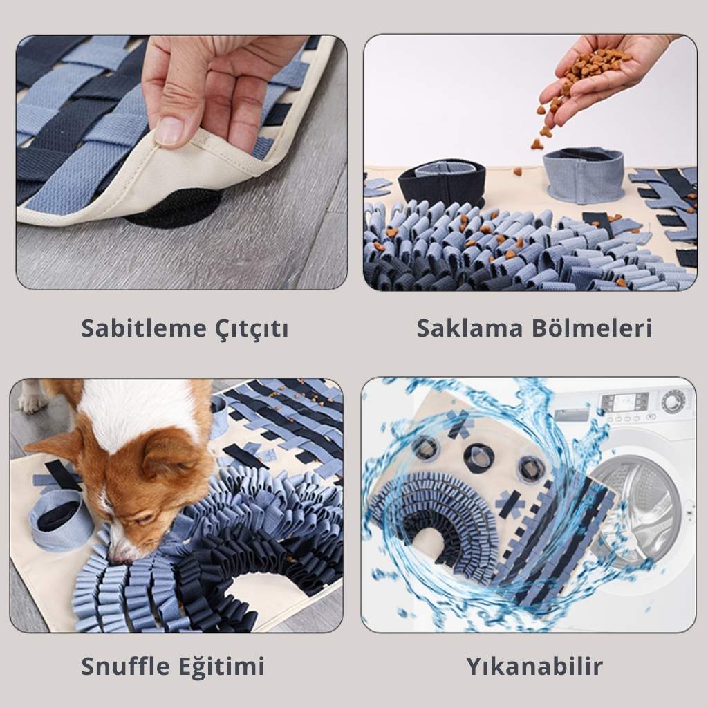 köpek burun matı