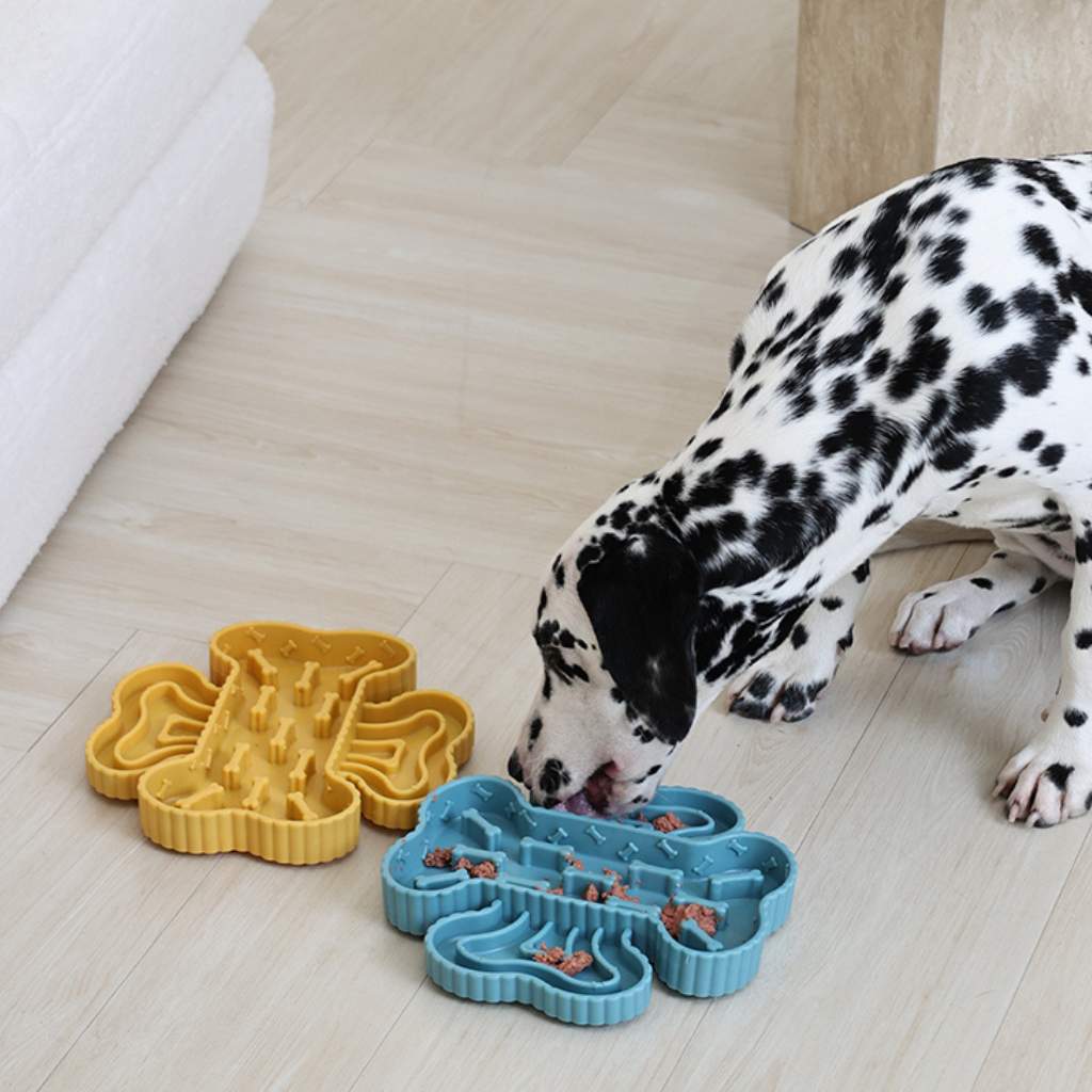 köpek diyet mama kabı