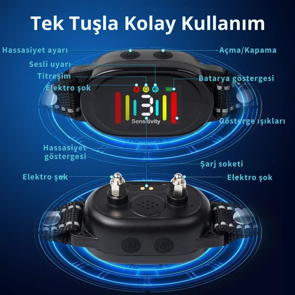 köpek eğitim tasması