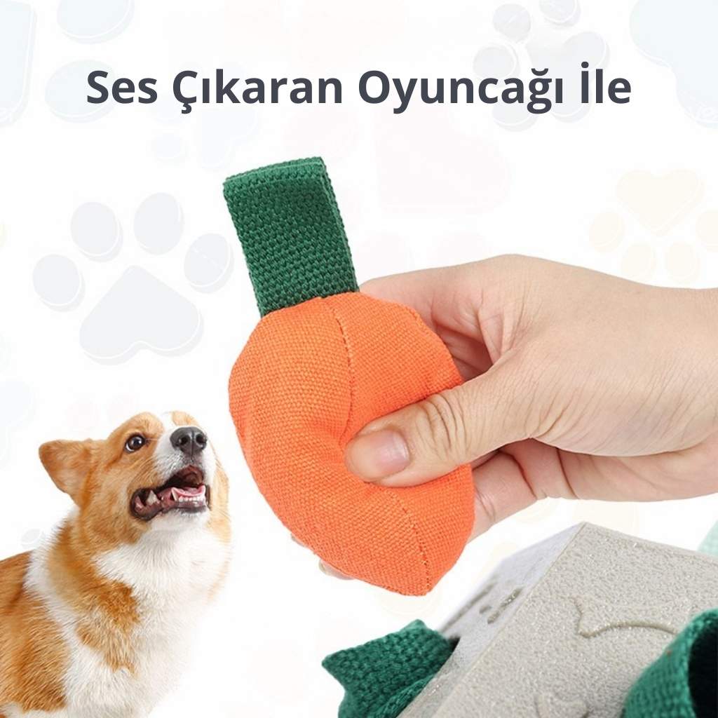 köpek mama saklama topu