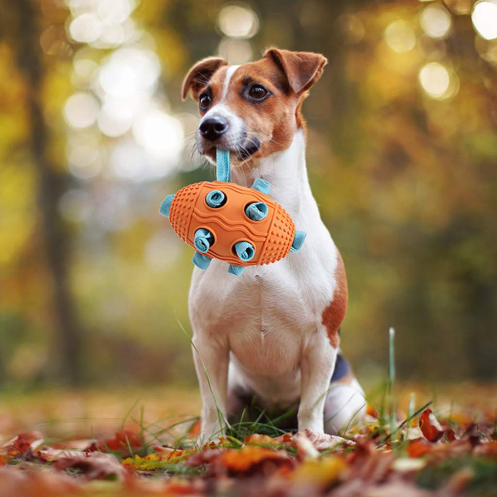 köpek snuffle topu turuncu
