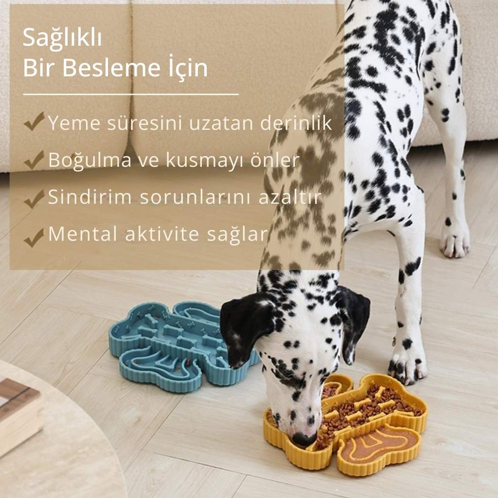 köpek yavaş besleme kabı