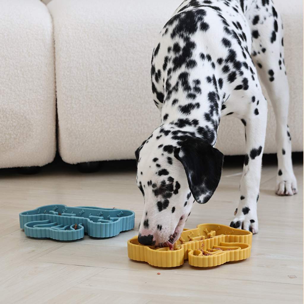 köpek yavaş mama kabı