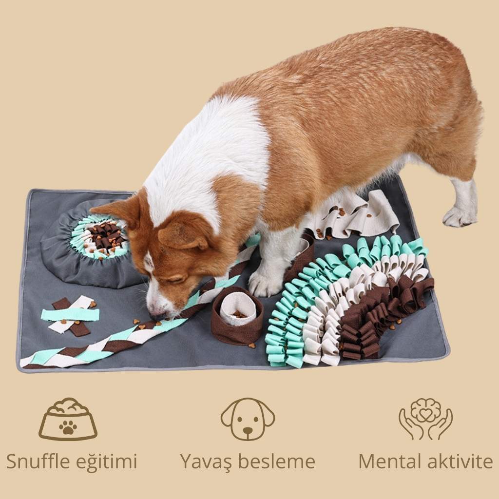 snuffle eğitimi
