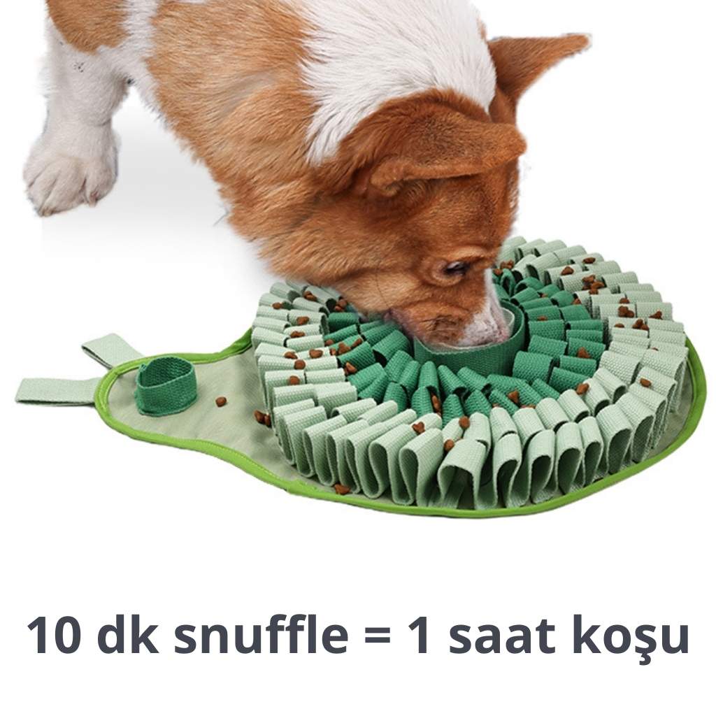 snuffle oyuncağı havloo