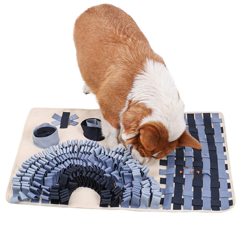snuffle pedi köpek