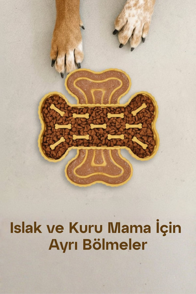 yavaş besleme ıslak mama kabı